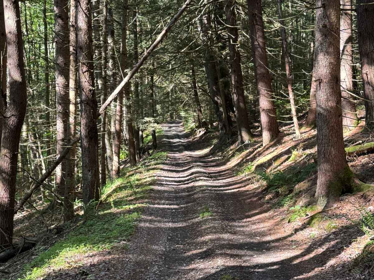 CCC Trail photo 5