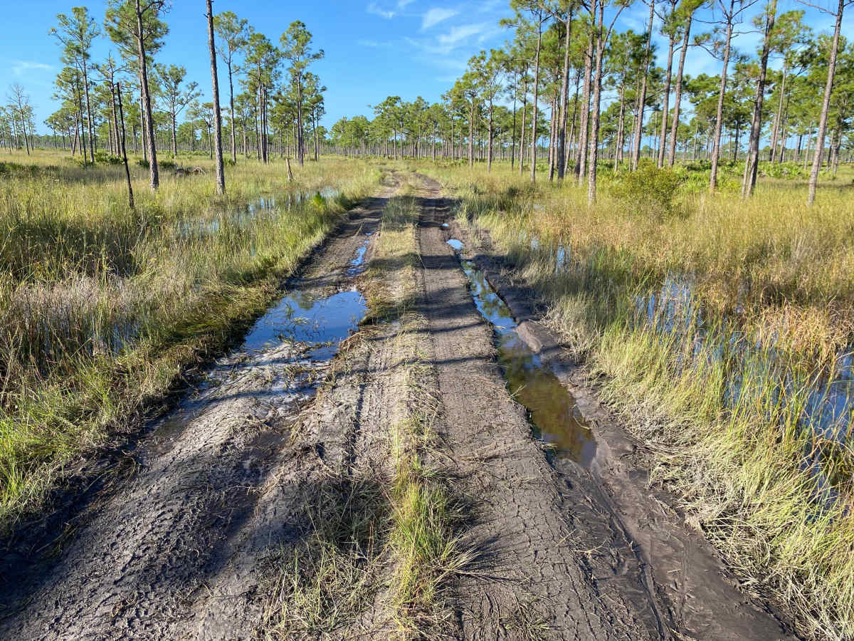 Road 3 photo 6