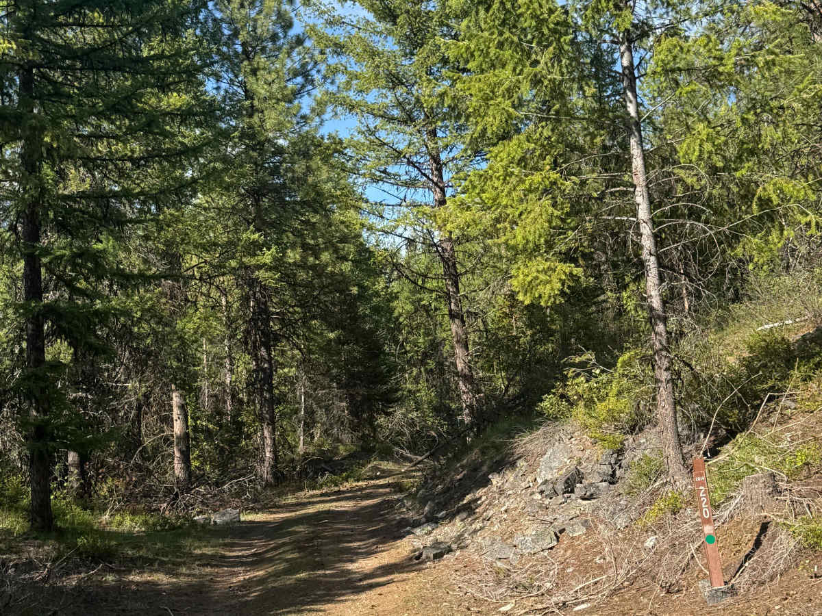 FS 2014-220 trail photo