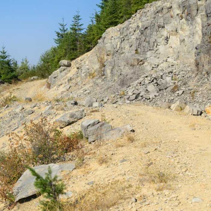 Near Wildcat Mountain via Douglas Trail