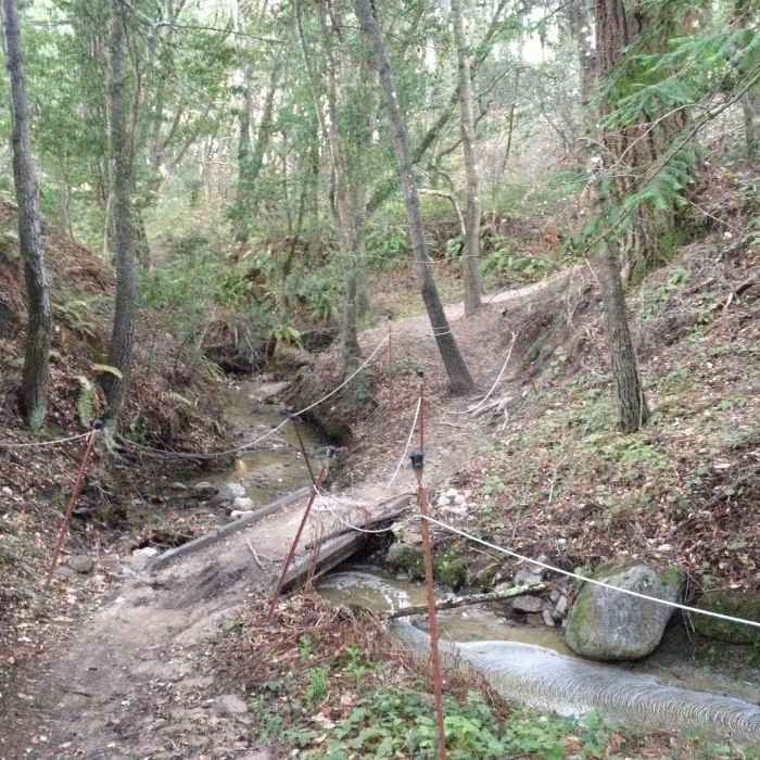 Near Eucalyptus Loop