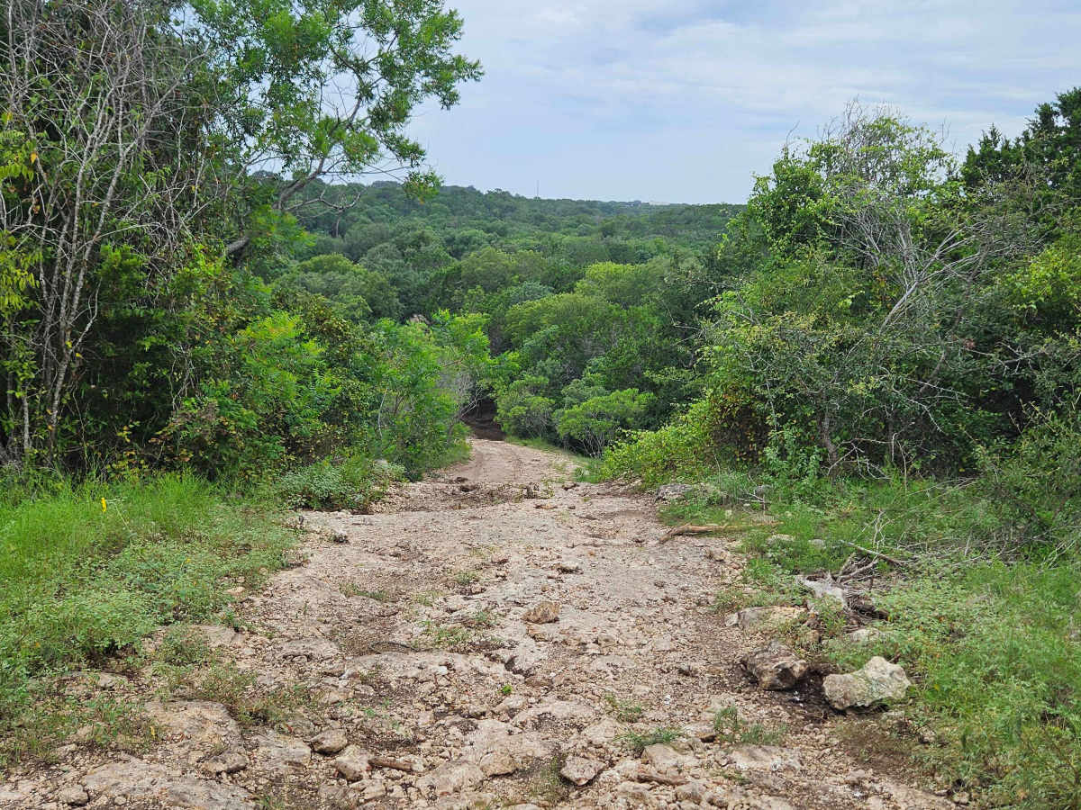 DOMO Hill Loop photo 3