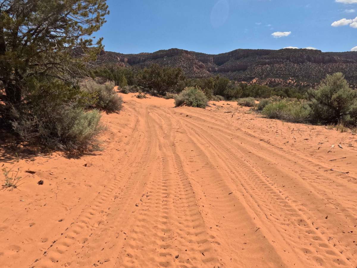 BLM 32  photo 3