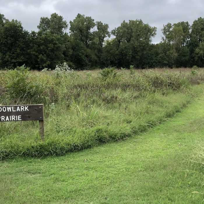 Near Meadowlark Prairie Trail