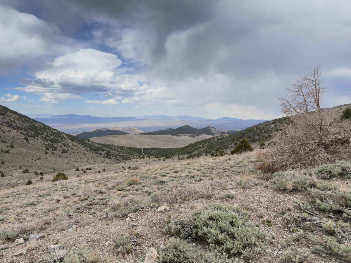 Becky's Loop photo 6