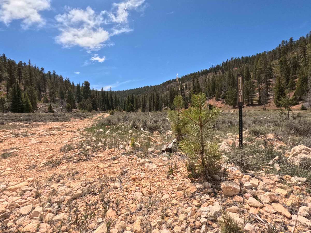 Long Hollow South - FS 31131 photo 2