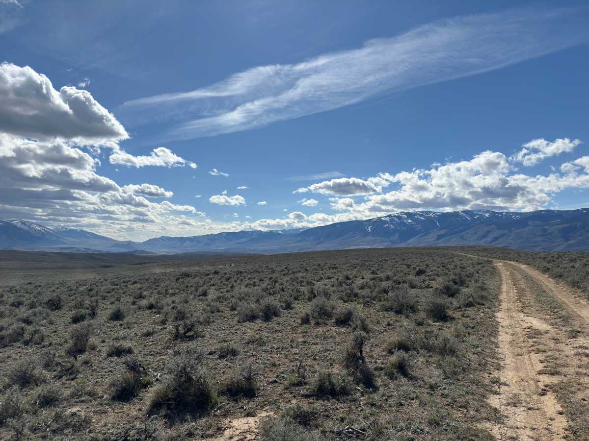 BLM Trail 132 photo 4