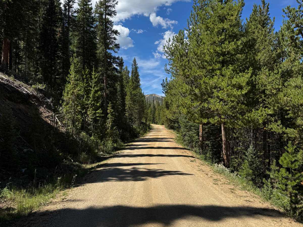 South Fork Arapaho Creek Road photo 2