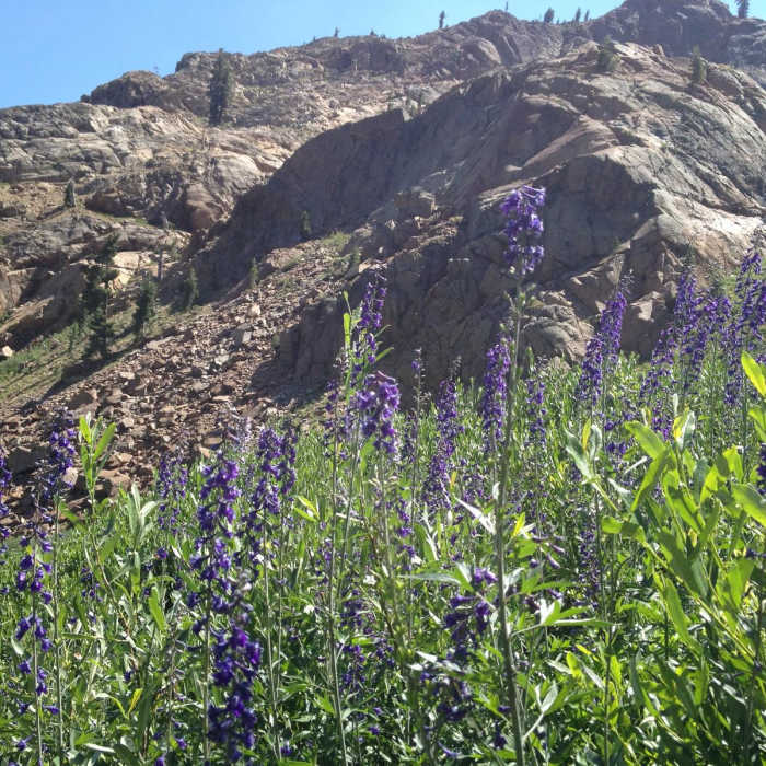 Near Four Lakes Loop via Long Canyon