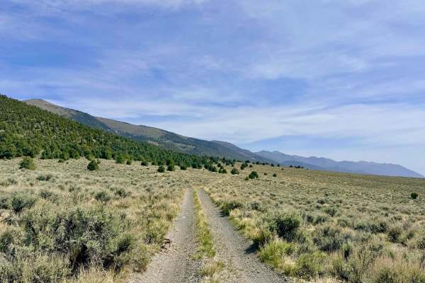 Dry Canyon Alternate - FS 43231