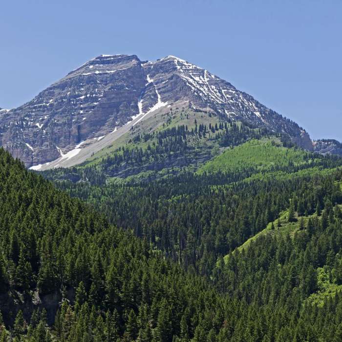 Near Pine Hollow Loop