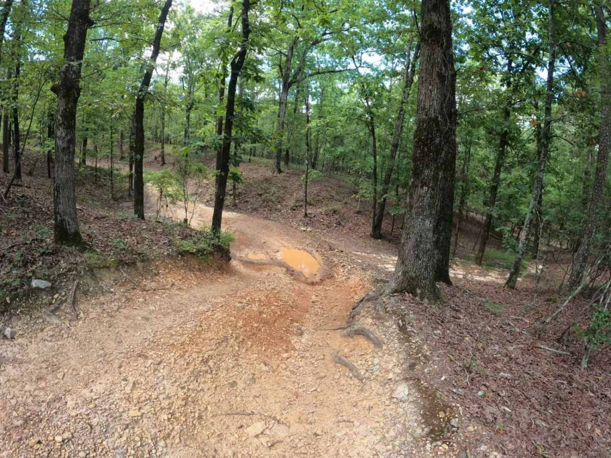 G3 Fun Run trail photo