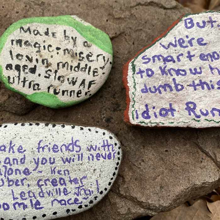 Near Heisley Valley Road To and Fro