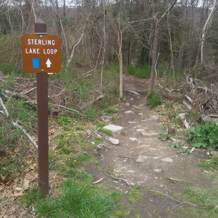 Near Sterling Lake Trail