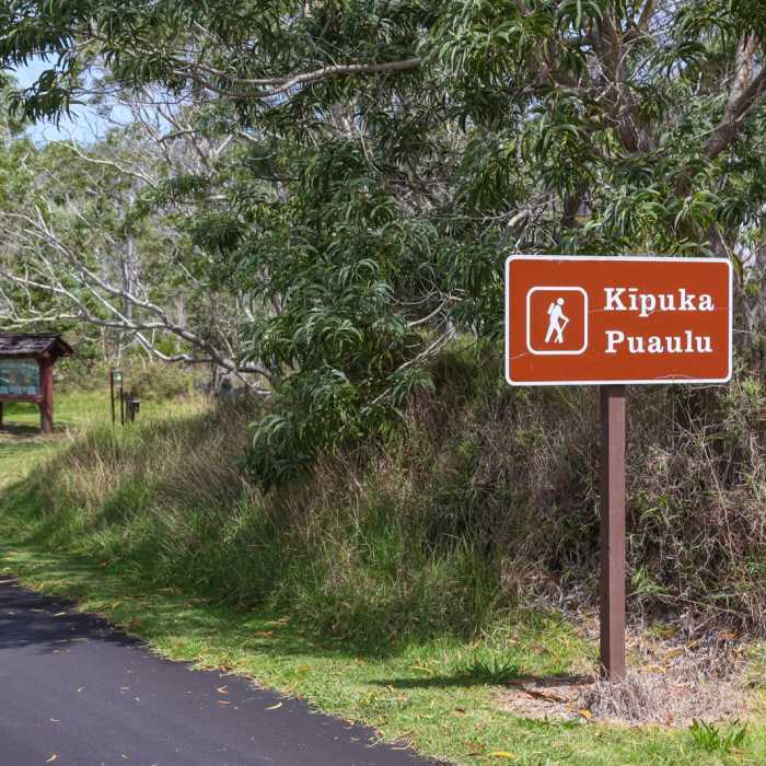Near Kipukapuaulu Trail