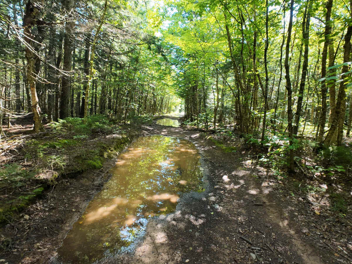 Woodworth Settlement Road trail photo