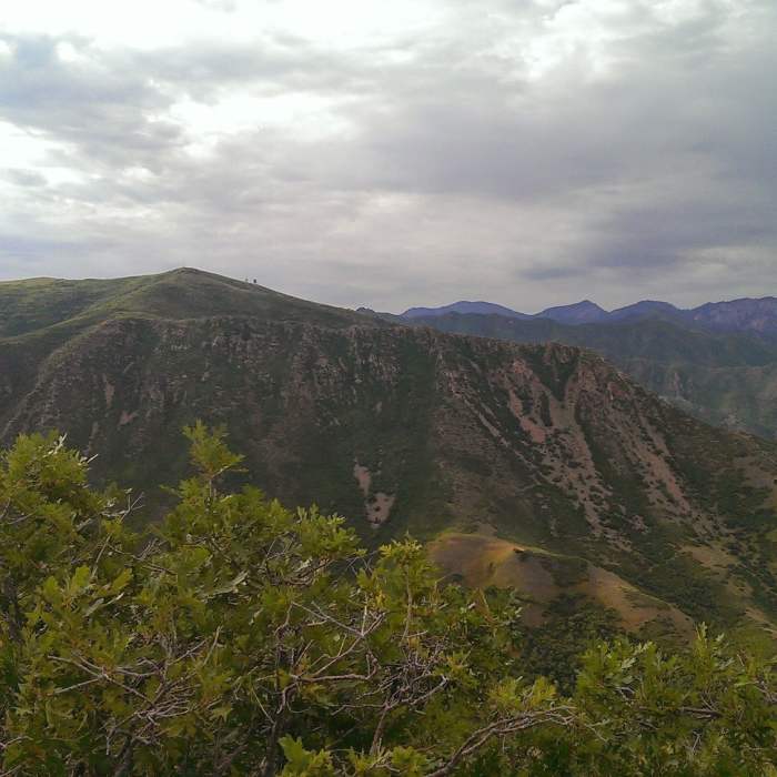 Near Mt. Van Cott Trail