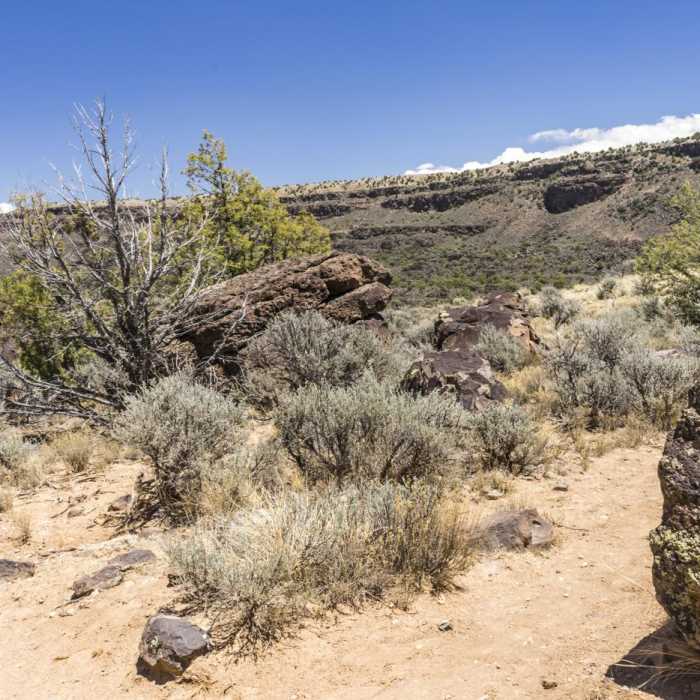 Near La Vista Verde Trail