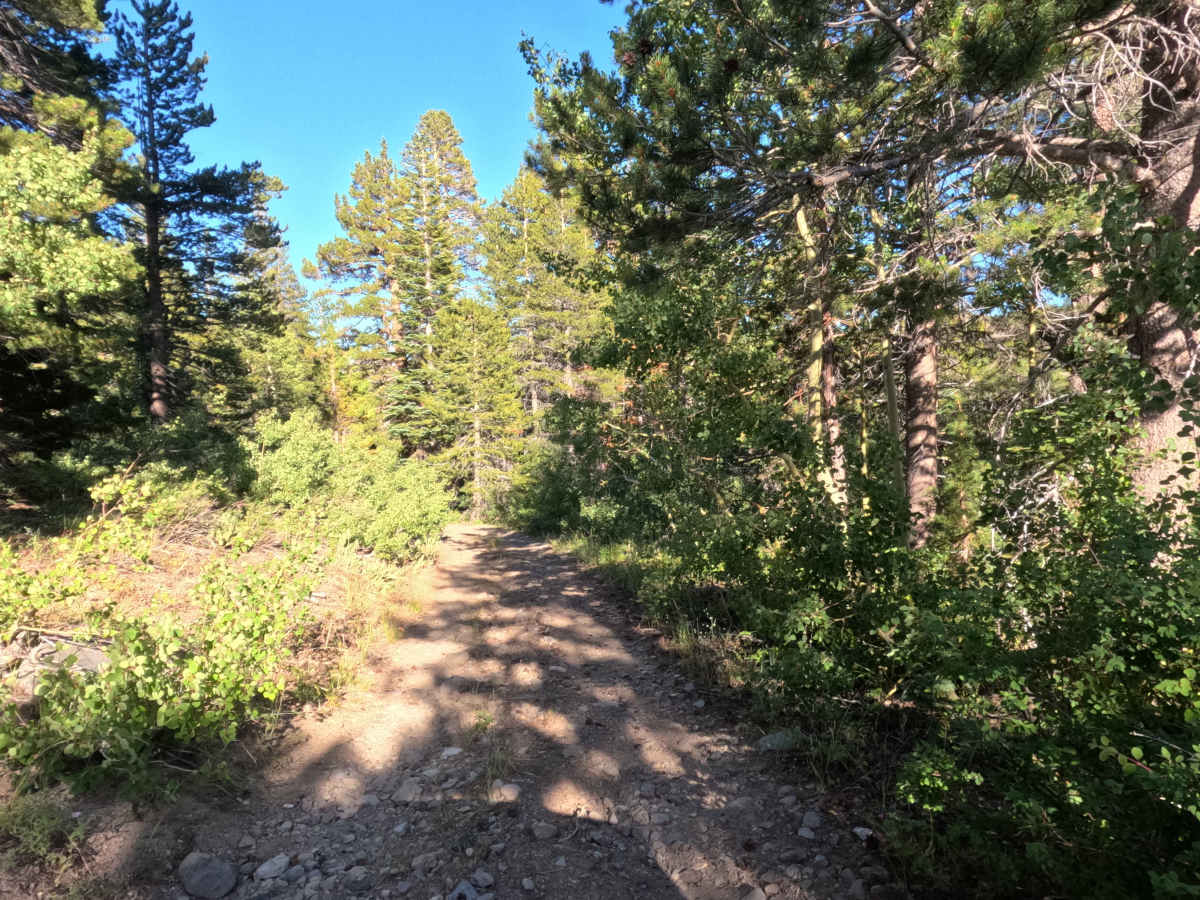 Upper Faith Valley Rd - FS 31093 photo 6