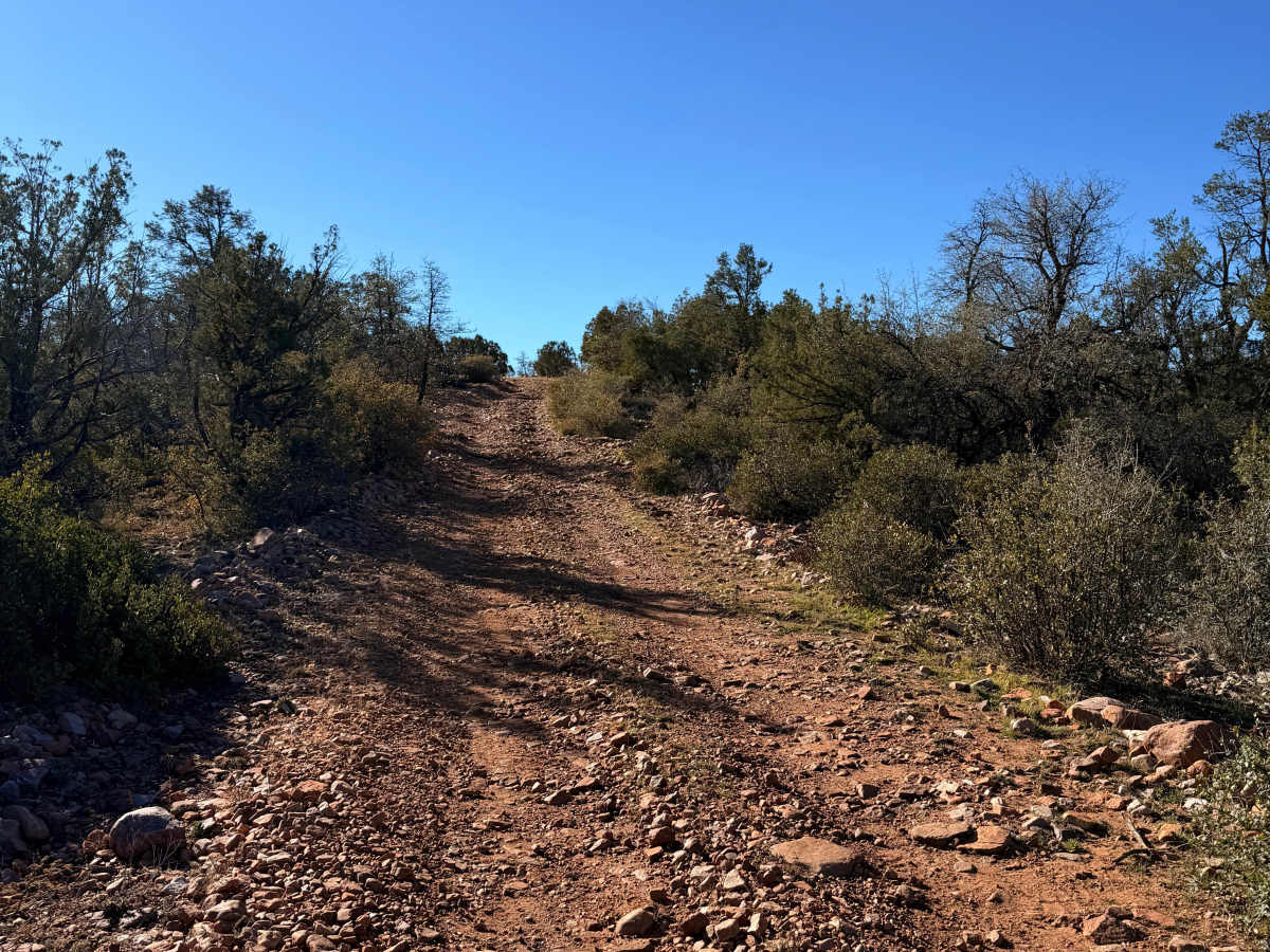 Buzzard Roost - FS 486 photo 6