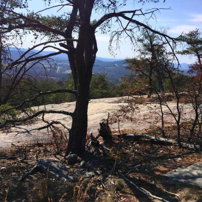 Near Vertical Mile Challenge Loop