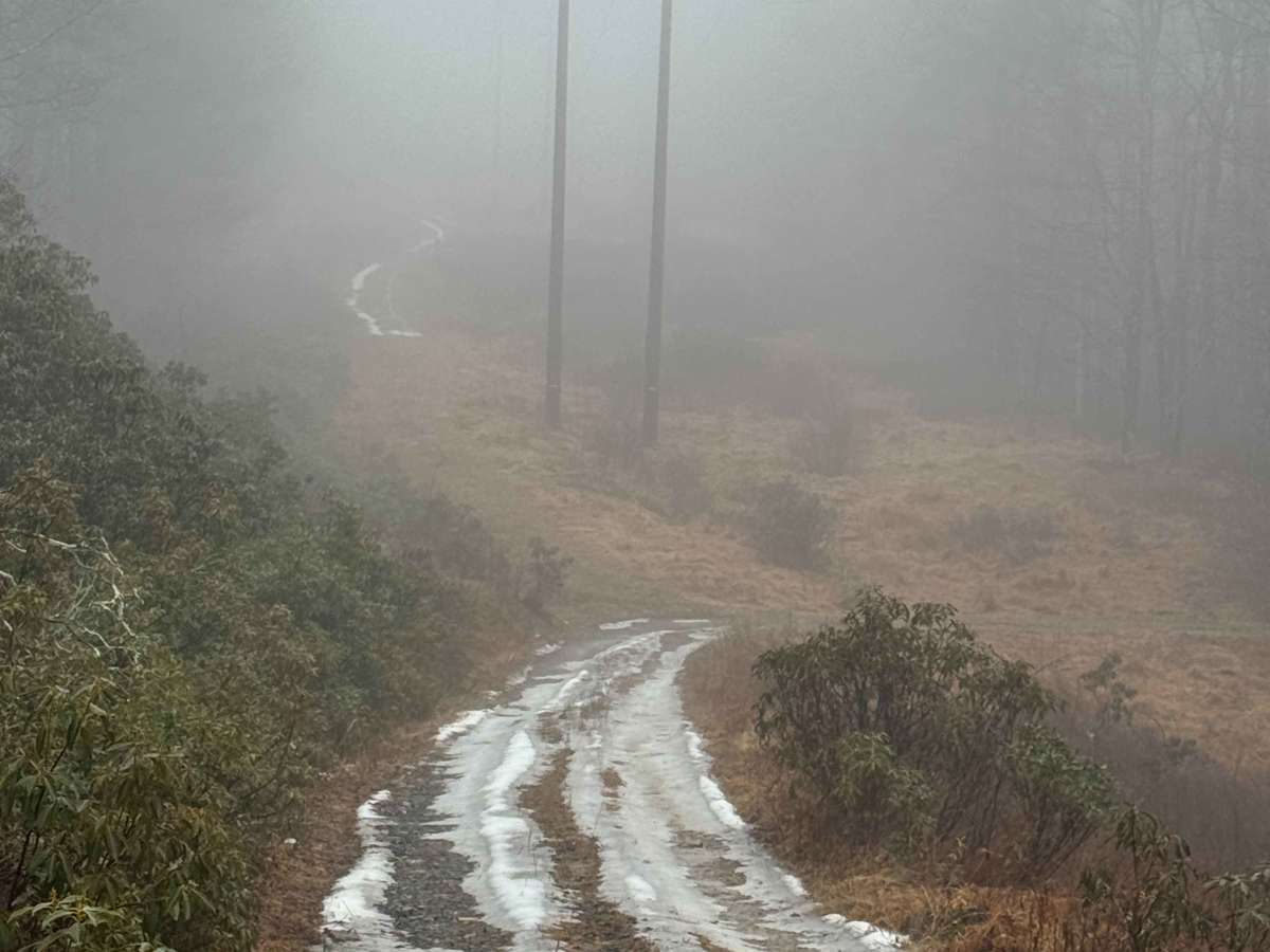 Holland Run Trail photo 4