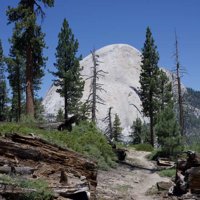 Near Mono Meadow to Panorama Trail