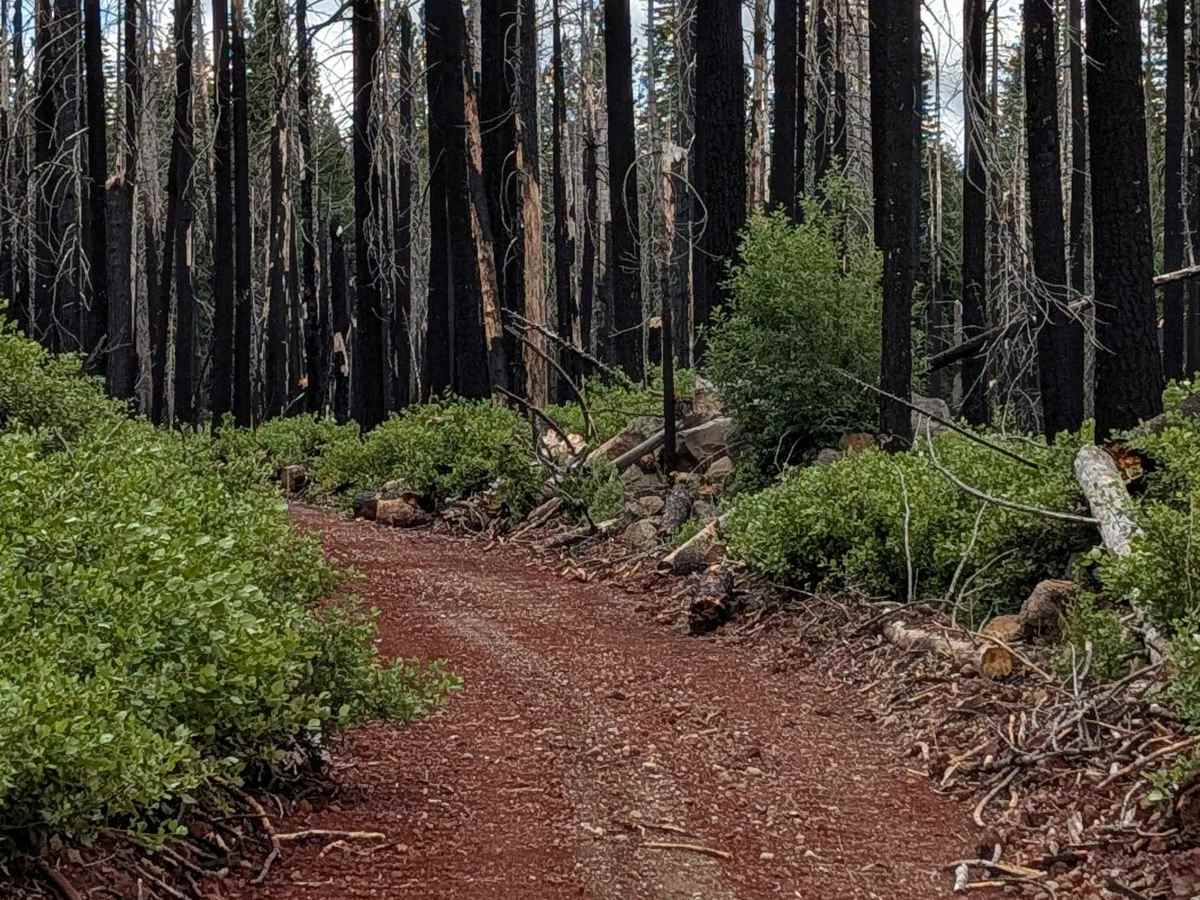 False Gap - FS 43N51 trail photo