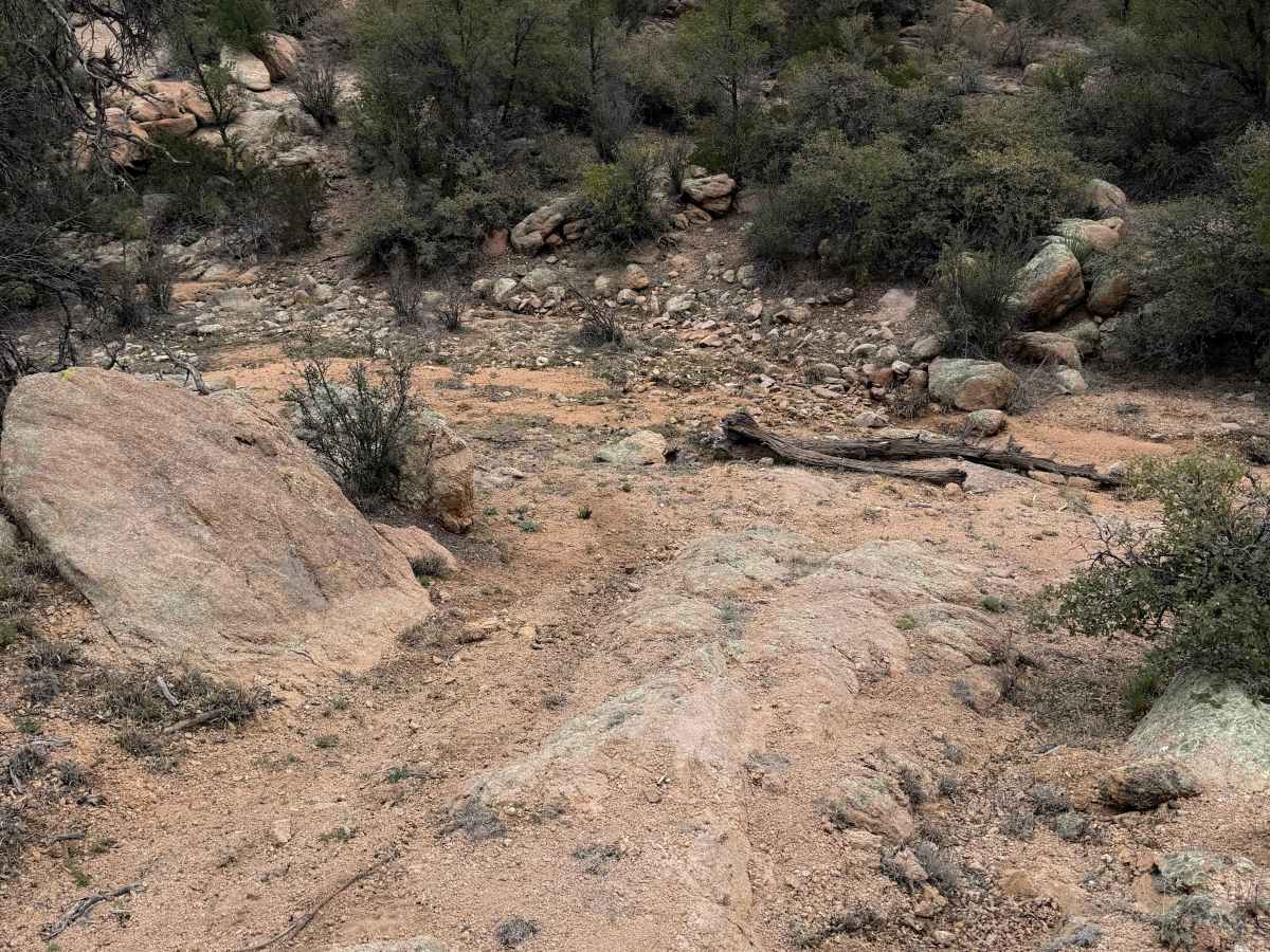 Dead Steer Basin #9908  photo 3