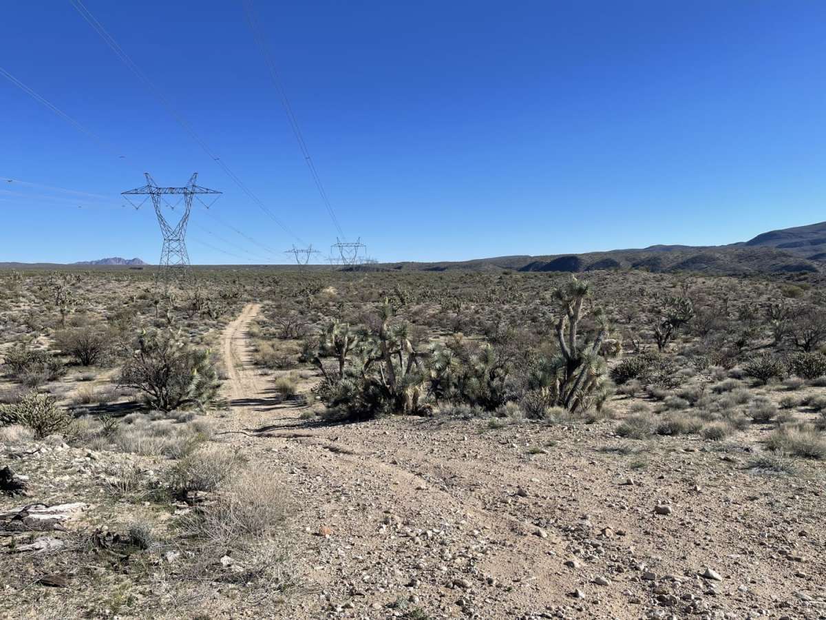 Another Powerline Road photo 3