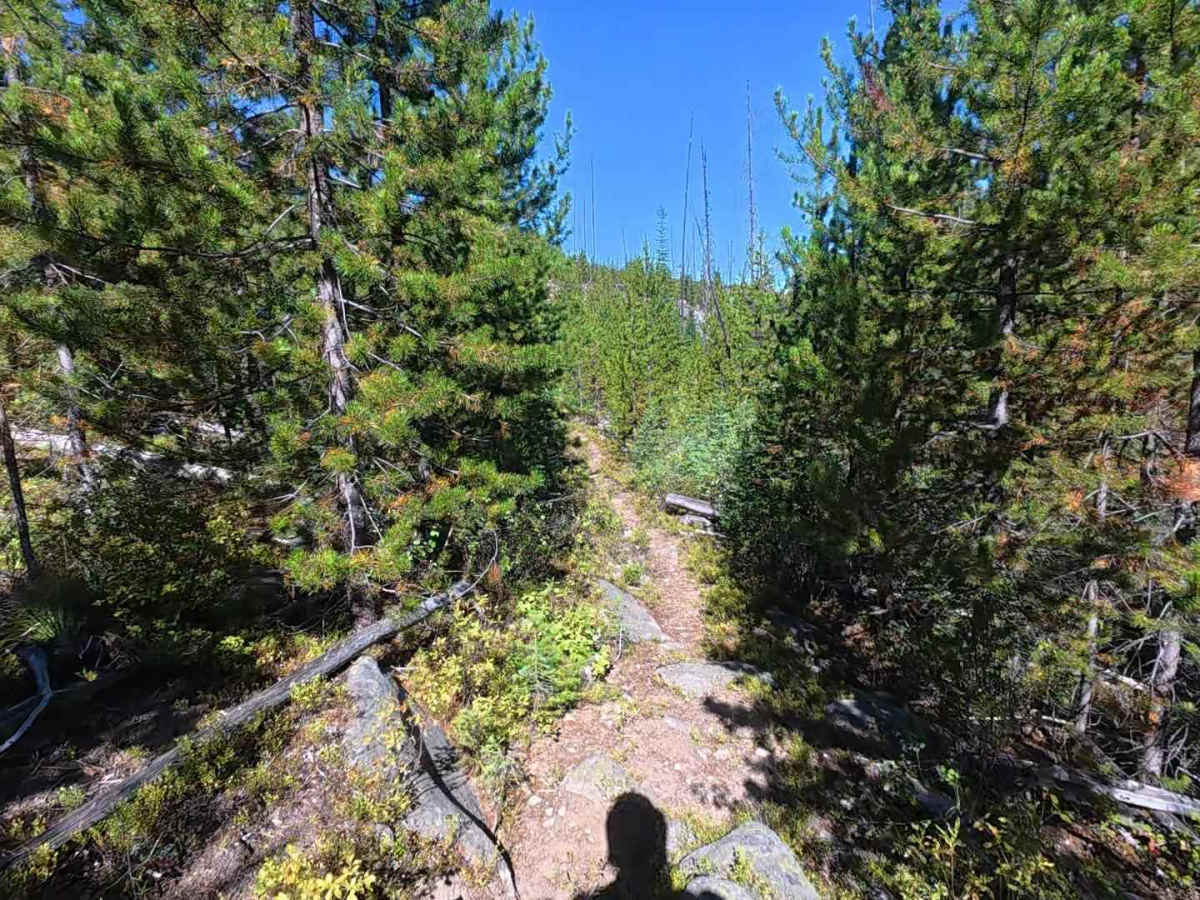 Sleeping Child Creek Trail - FS 84 photo 3