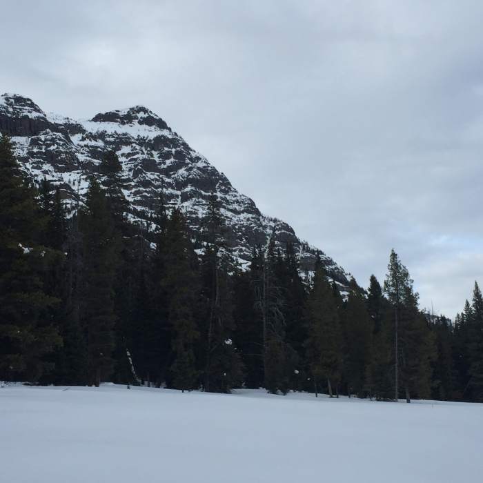 Near Barronette Ski Trail