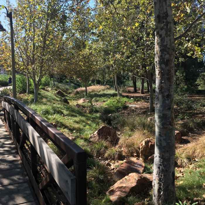 Near Oso Creek Trail