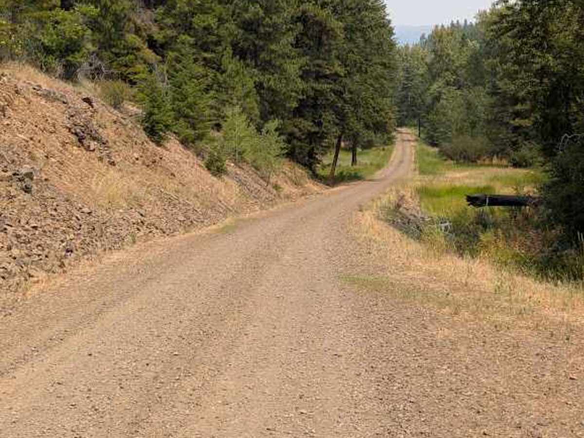 Naneum Basin Road photo 4