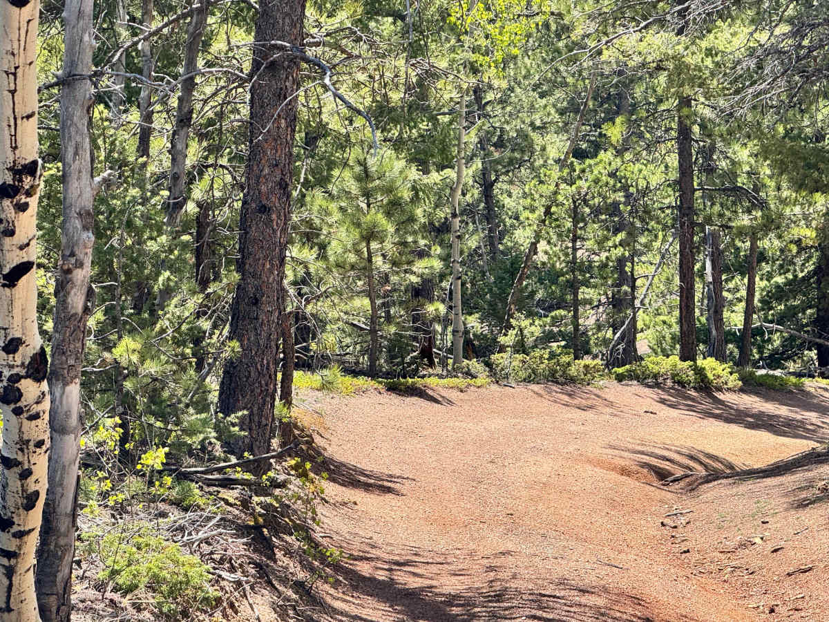 Upper Johnson Gulch Rd (FS300) photo 4