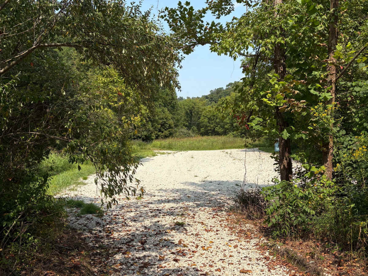 Martin County Trailhead to Trail 1 photo 5