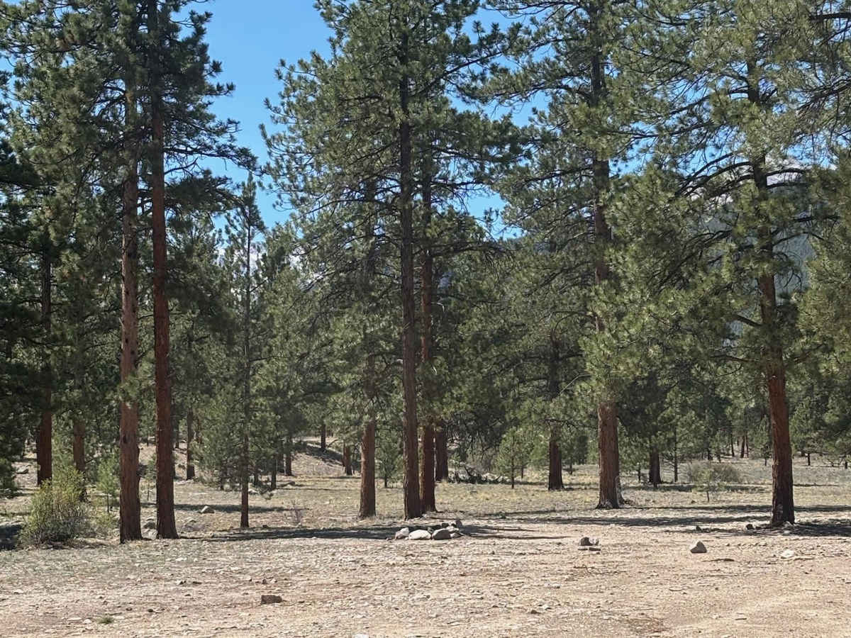 Raspberry Gulch photo 2