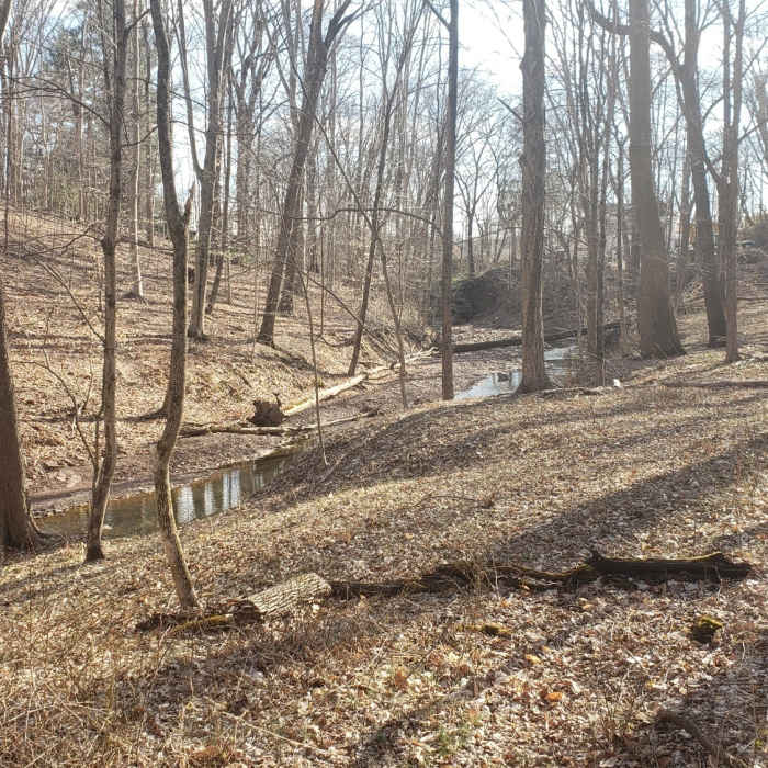 Near South Bank Trail