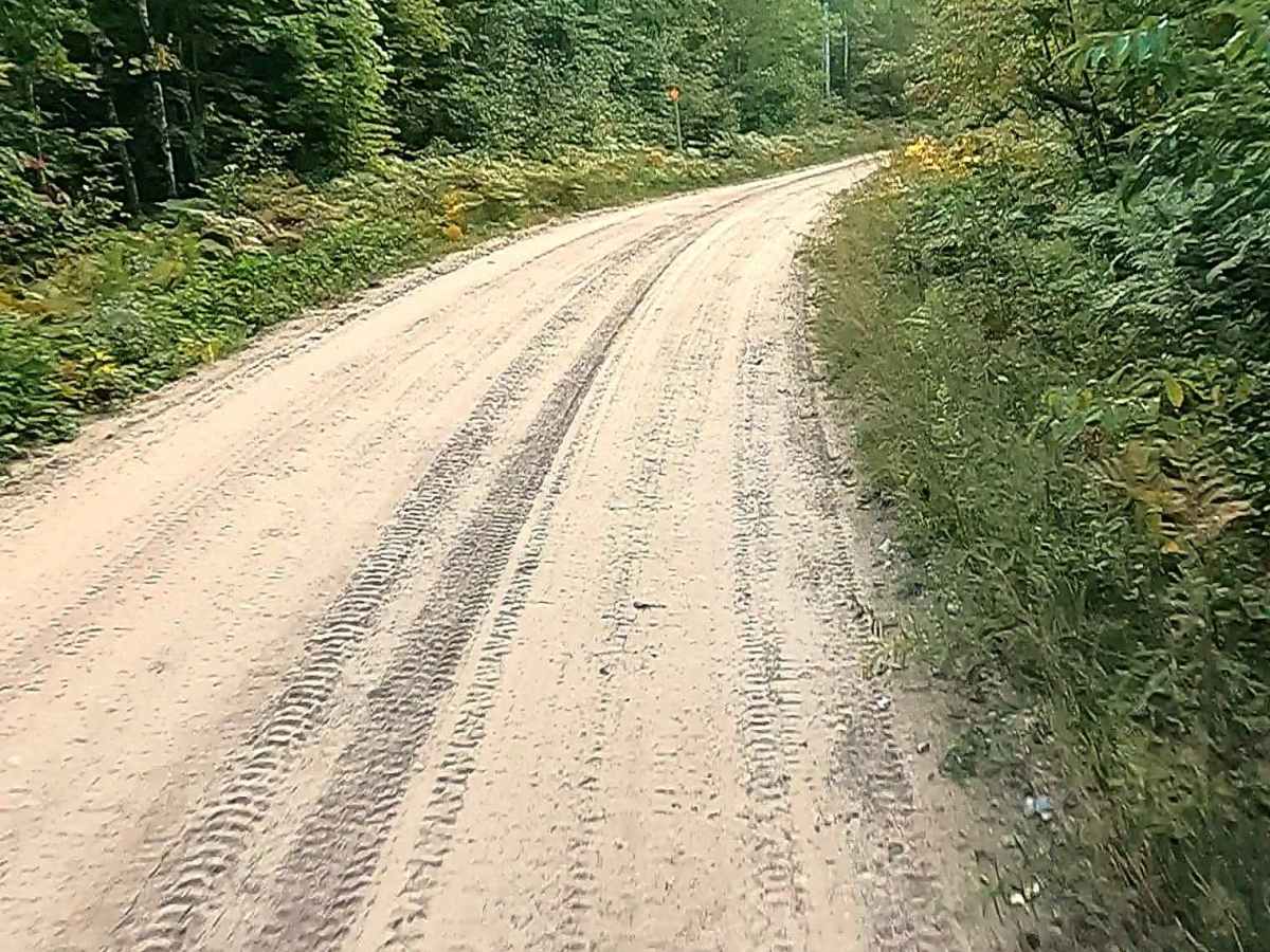 Pine River Truck Trail - FS 3137 photo 6
