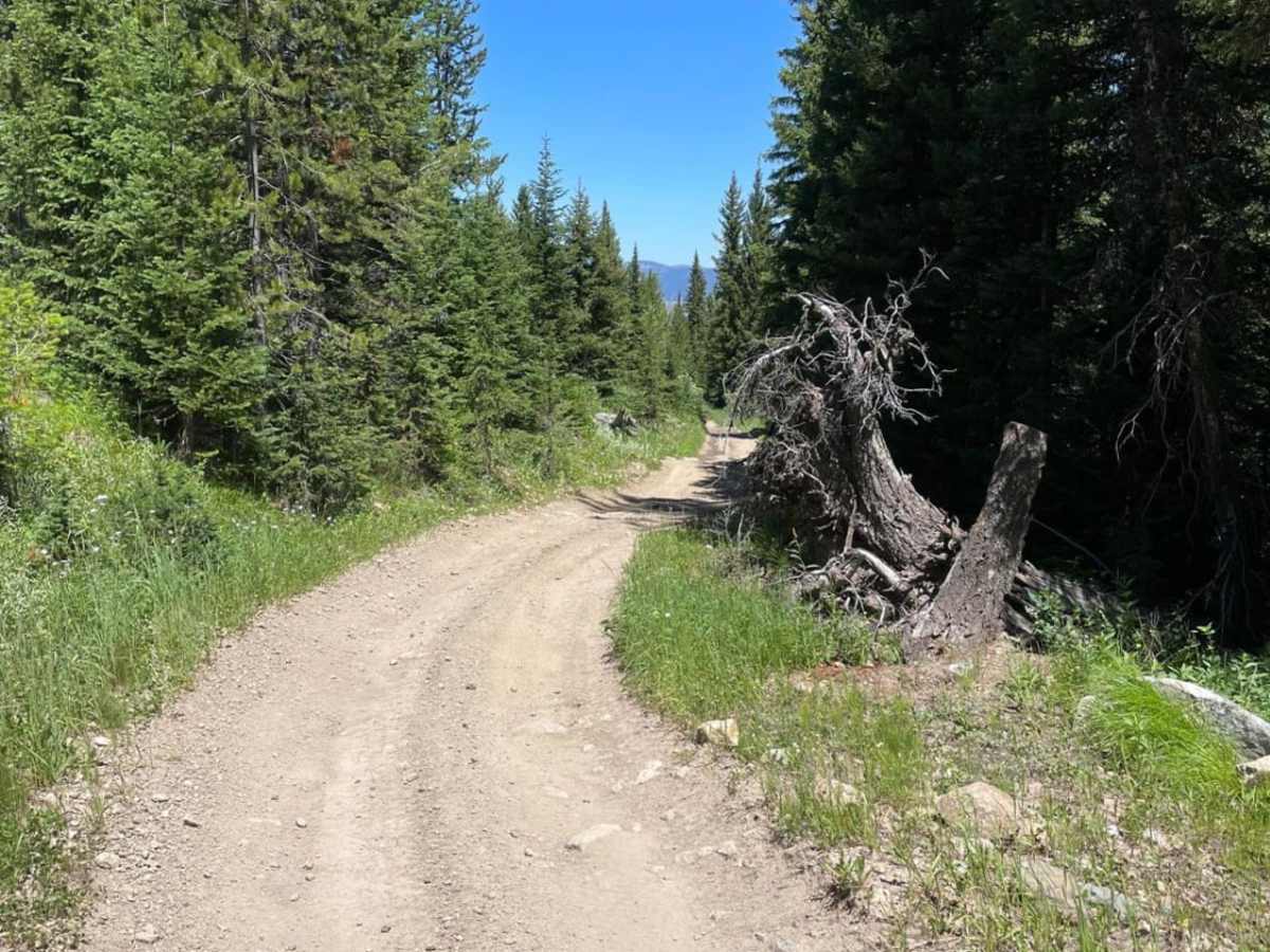 Buttermilk Creek Trail photo 5