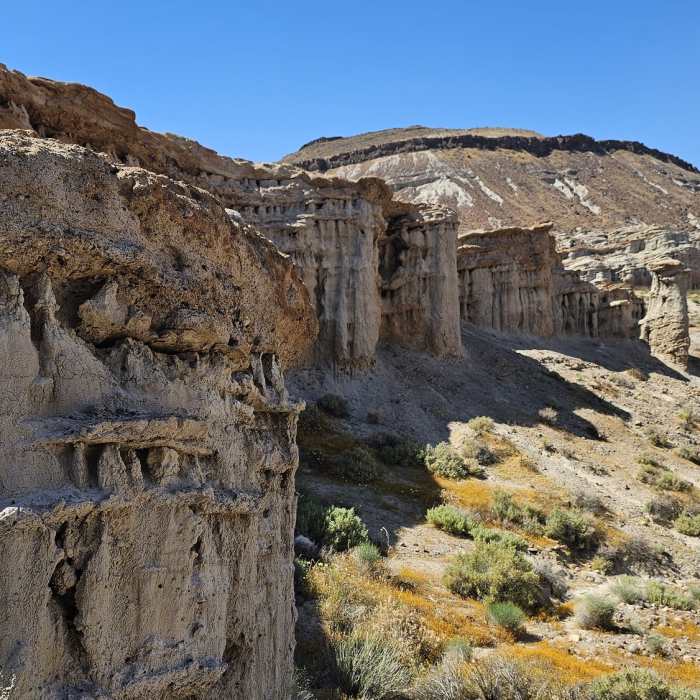 Exploring Hagen Canyon. Spring flowers Near Hagen Canyon