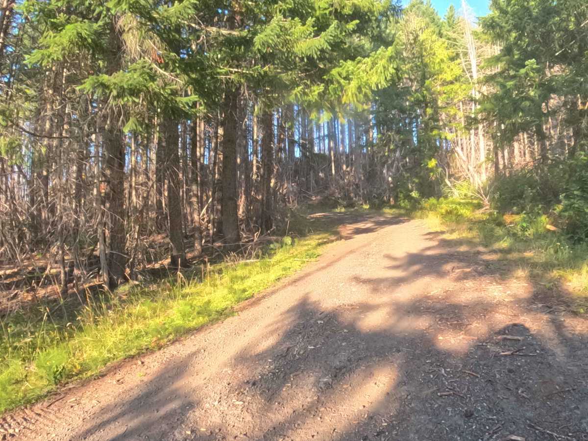 Upper Hawkins - FS 2236000 photo 3