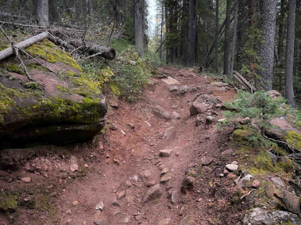 Deadman Gulch Trail - FS 420  photo 4