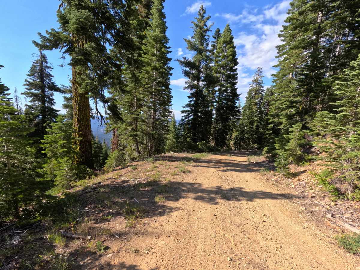 Haskell Cross - FS 21N91 trail photo