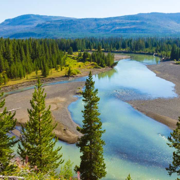 Near Thorofare Trail