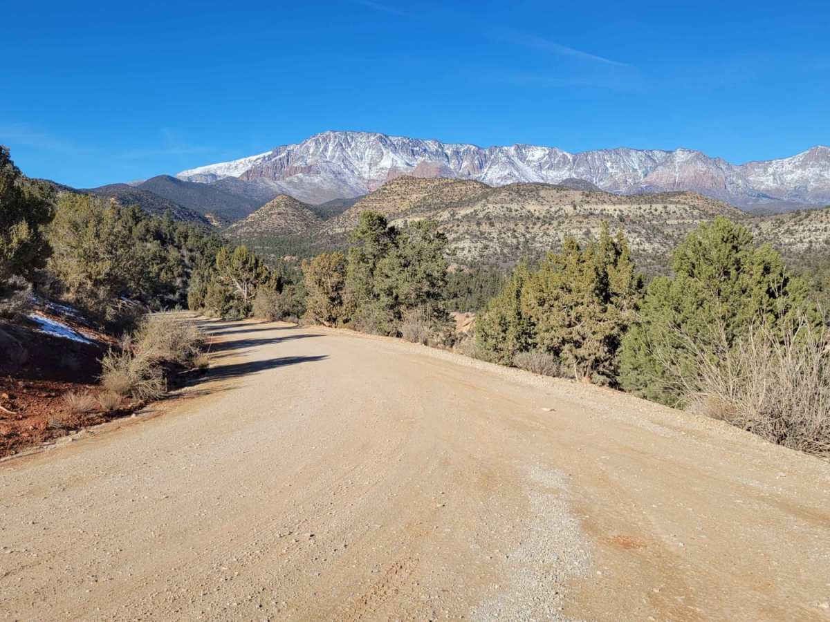 Cottonwood Creek photo 6