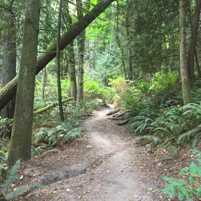 Near Cable Line Trail