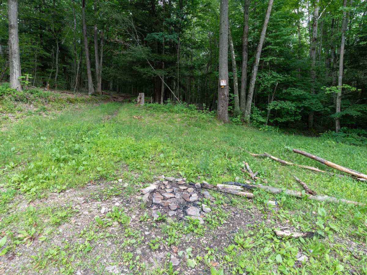 Left Fork Truck Trail photo 6