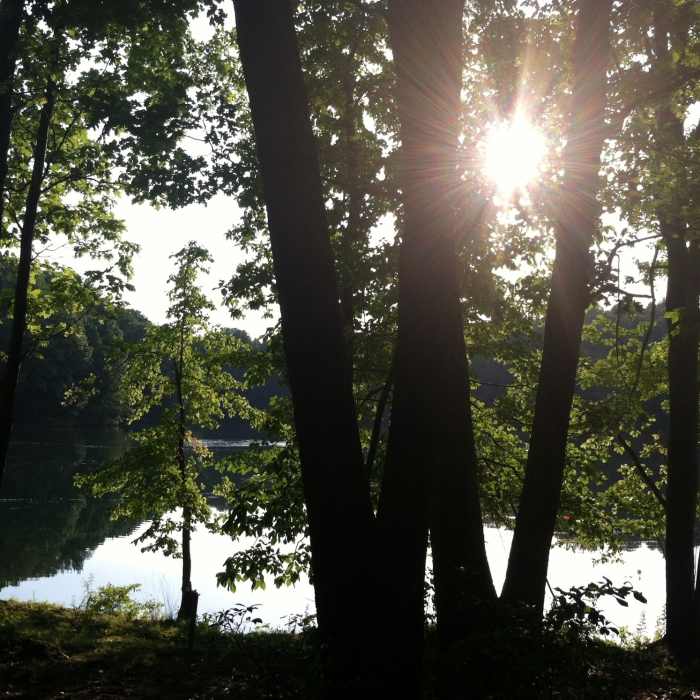 Near Coot Peninsula Out and Back