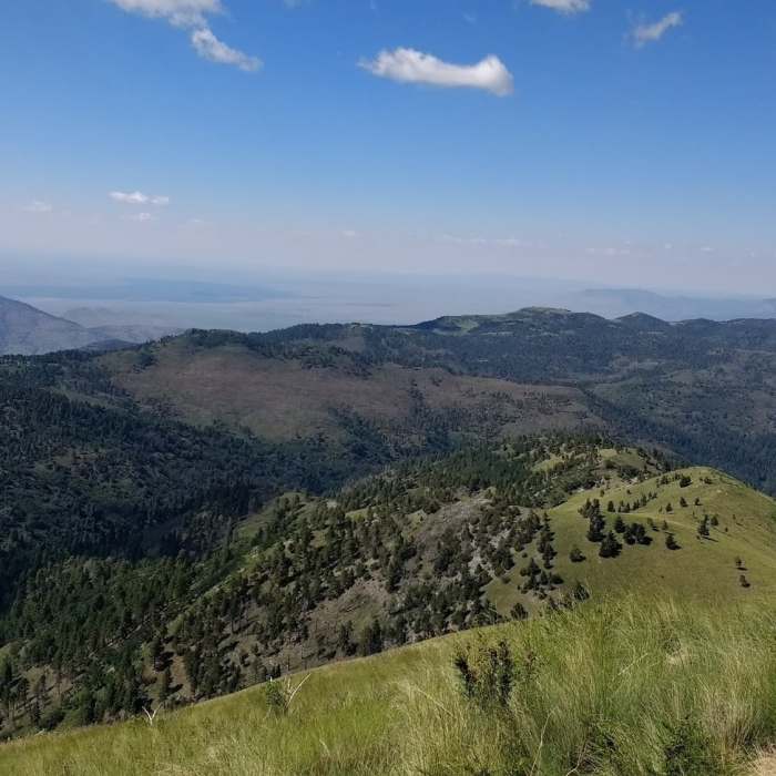 Near Crest Trail (#25)